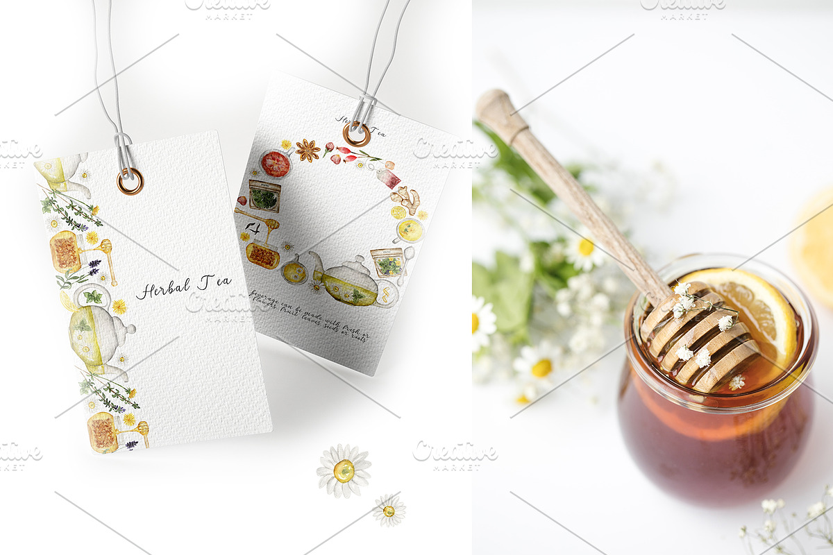 Watercolor Herbs and Spices, a Food Illustration by MayaNavits (Photo 11 of 13)