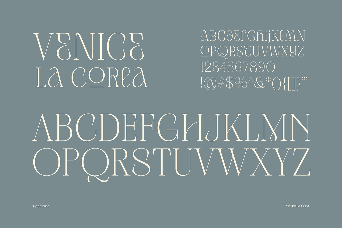 Venice La Corla | Elegant Serif Font, a Serif Font by Jolicia Type (Photo 8 of 11)