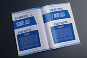 Indesign Investment proposal A4, a Templates & Theme by RudanStudio (Thumbnail 6 of 8)