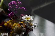 4 Pro Film Actions, an Action Add-On by JC Vogt (Thumbnail 4 of 4)