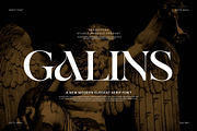 Galins Modern Serif Font, a Serif Font by Perfectype (Thumbnail 1 of 8)