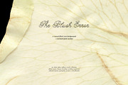The Blush Error - Floral Backgrounds, a Wallpaper Graphic by Purple (Thumbnail 10 of 12)