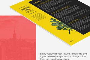 Resume Template Lyra