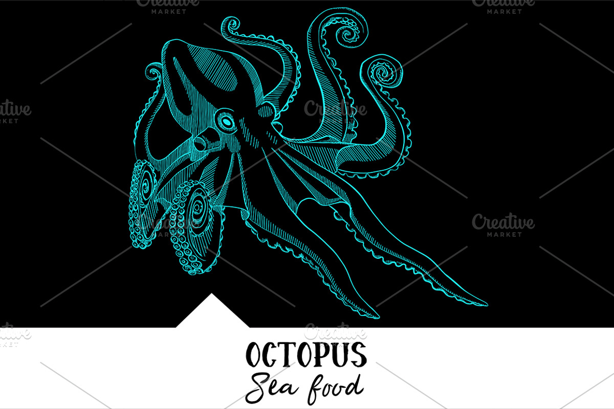 10 vector hand-drawn sea creatures, a Brochure Template by RichmanStudio (Photo 7 of 11)