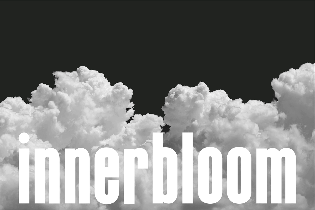 Evolve Sans Serif Display Type, a Font by Kelsey Benedict Design (Photo 5 of 9)
