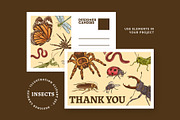 Insects Illustrations, an Object Graphic by DesignerCandies (Thumbnail 2 of 4)