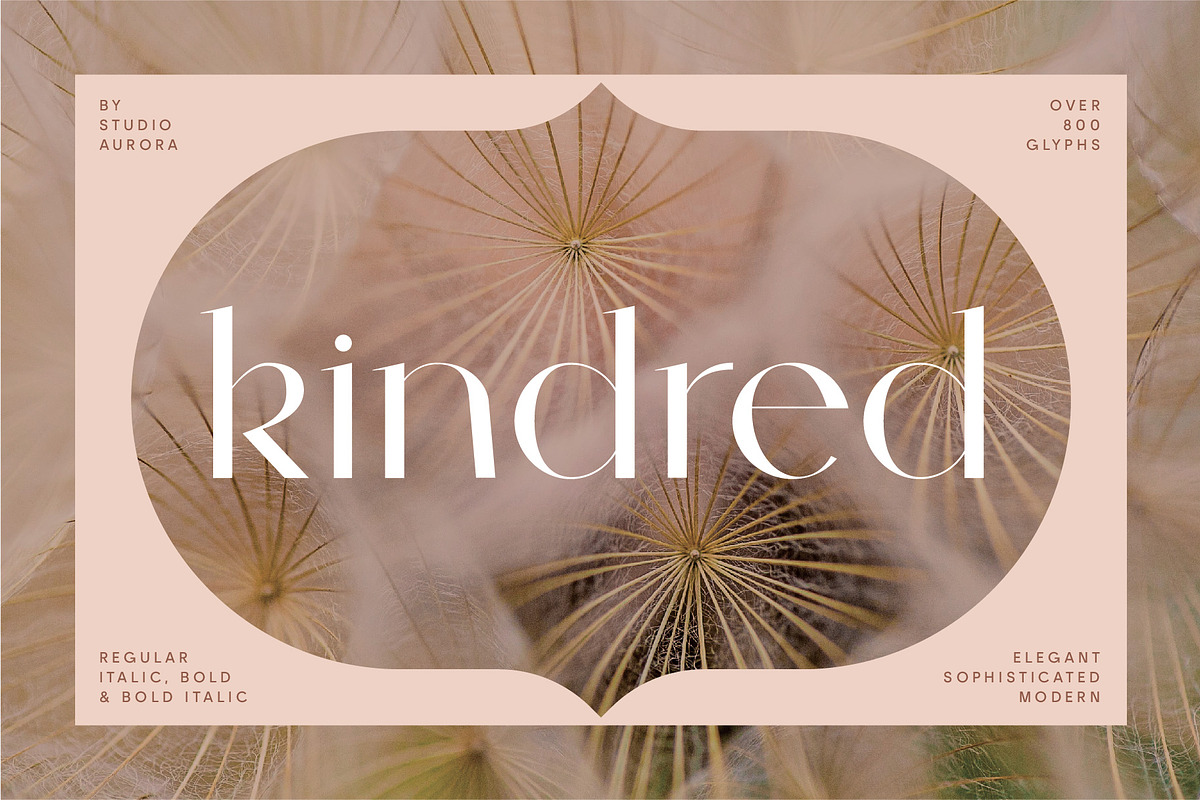 Kindred - Elegant and chic font, a Sans Serif Font by Studio Aurora (Photo 1 of 11)