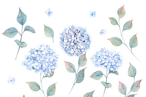 Watercolor Hydrangea Flowers Clipart