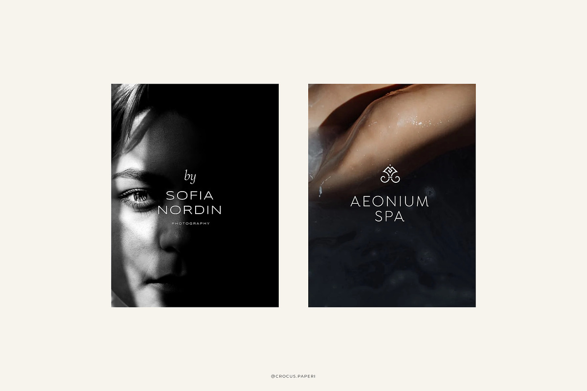 LUXURY Logos & Business Cards, a Branding & Logo Template by Crocus Paperi (Photo 10 of 17)