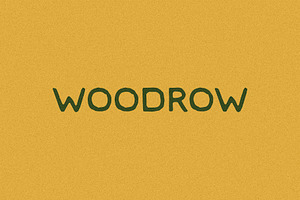 Woodrow I A Sans Serif Font, a Sans Serif Font by Taylor Penton