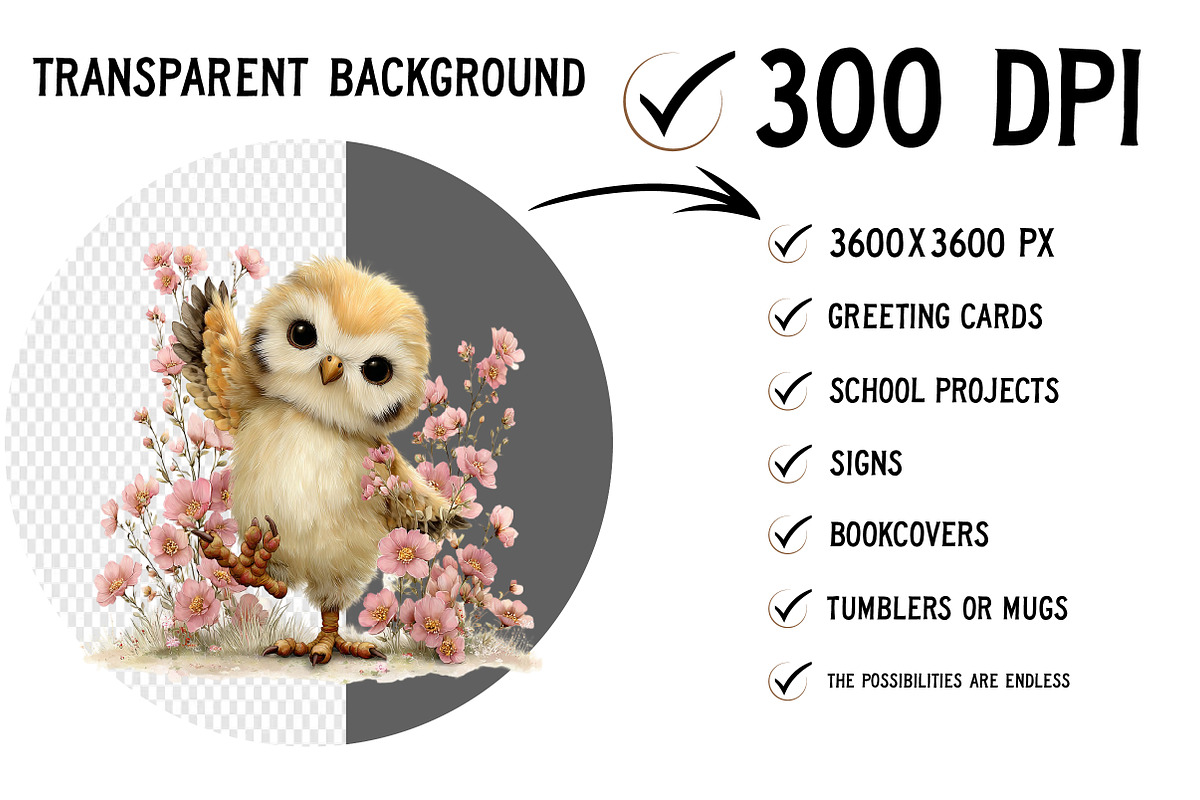 Funny Spring Owl Clipart, an Illustration by Craft Nest (Photo 2 of 12)