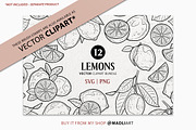Lemon Fruit Procreate Brush Stamps, a Shape Add-On by MadliArt (Thumbnail 5 of 5)