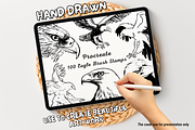 100 Eagle Procreate Stamps, a Brush Add-On by Painter Creative Books (Thumbnail 1 of 9)