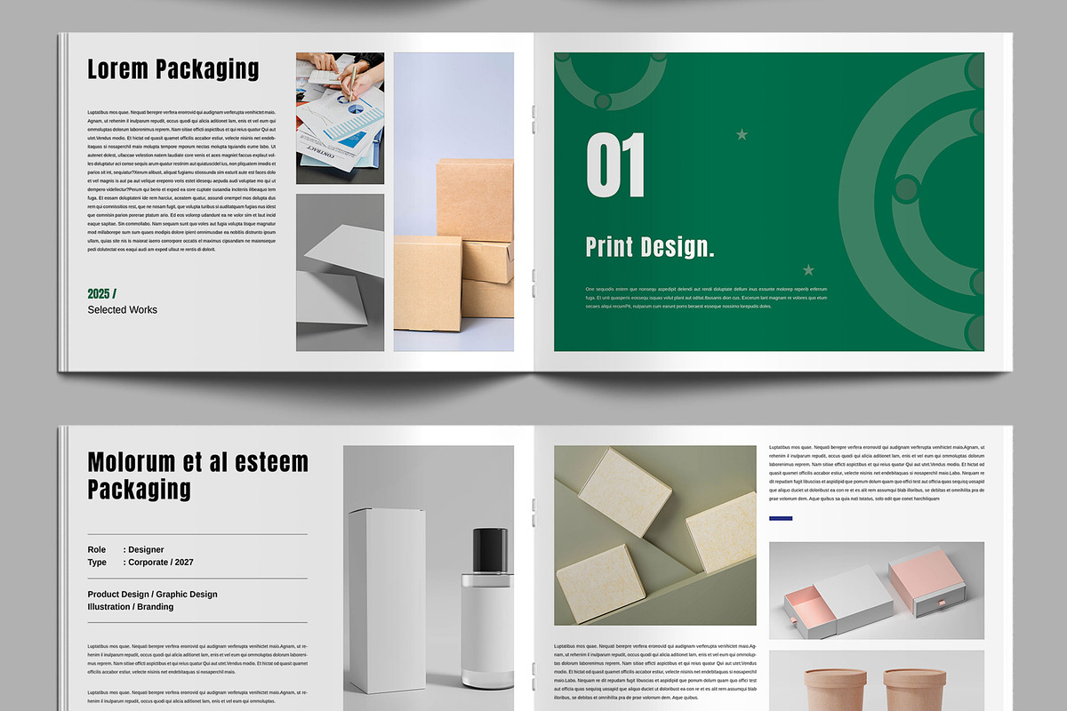 Graphic Design Portfolio Template, a Brochure Template by ContestDesign (Photo 3 of 6)