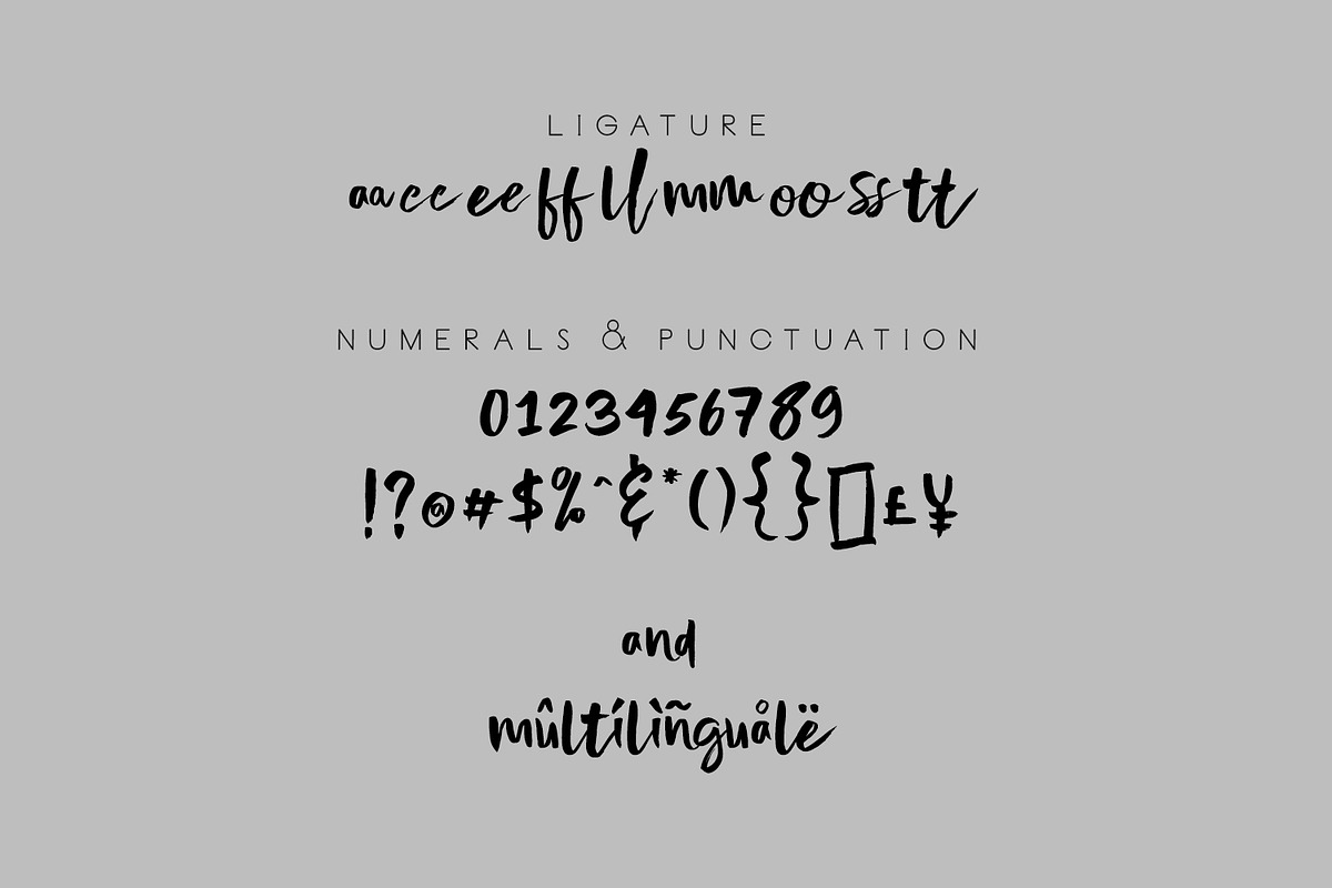 NEW I Nightype Script, a Script Font by madeDeduk (Photo 11 of 11)