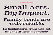 DT Augustina Slab 7 Subfamily, a Slab Serif Font by Deveze Type Foundry (Thumbnail 9 of 31)