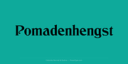 Colombo, a Serif Font by preussTYPE (Thumbnail 5 of 9)