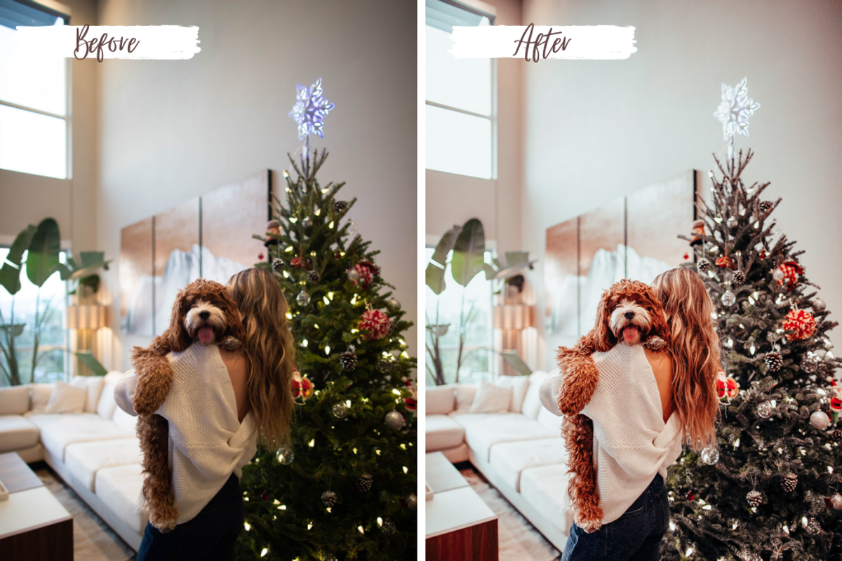Big Bundle - 48 Presets Lightroom, a Preset Add-On by creative-kits (Photo 7 of 10)