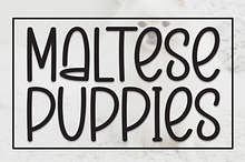 Maltese Puppies | Script Font