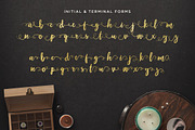 Maloishe Brush Script Font, a Script Font by Design Panoply (Thumbnail 3 of 10)