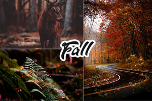 Fall Colors Lightroom Preset