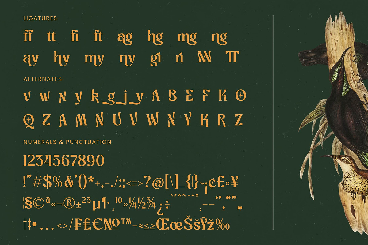 Bottarie Freestyle Display Font, a Serif Font by timelesstype.co (Photo 19 of 20)