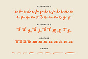 Amelona, a Handwritten Font by Gatype (Thumbnail 8 of 9)