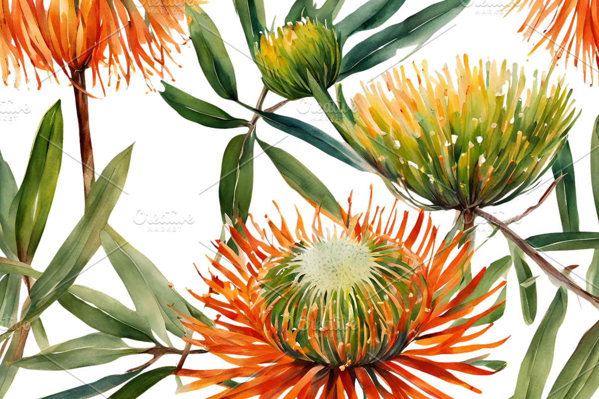 Pincushion Protea Flowers, a Decorative Illustration by Karliefie (Photo 6 of 8)