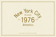 New York Bird Store, a Sans Serif Font by Komet & Flicker (Thumbnail 4 of 13)