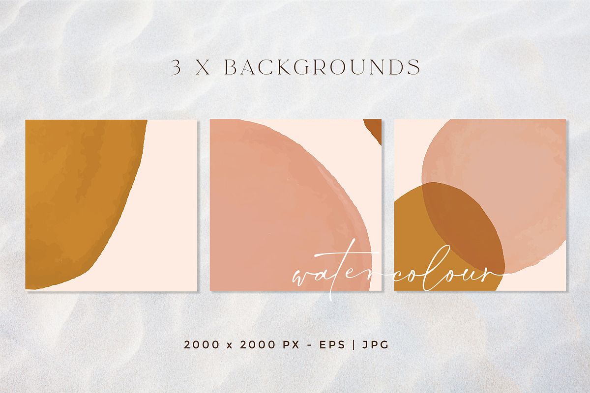 Desert Palm Collection, a Background Graphic by Carla Fern Designs (Photo 6 of 12)