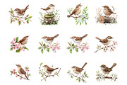 Birds and dunnock Clipart, a Seasonal Illustration by Designking (Thumbnail 2 of 5)
