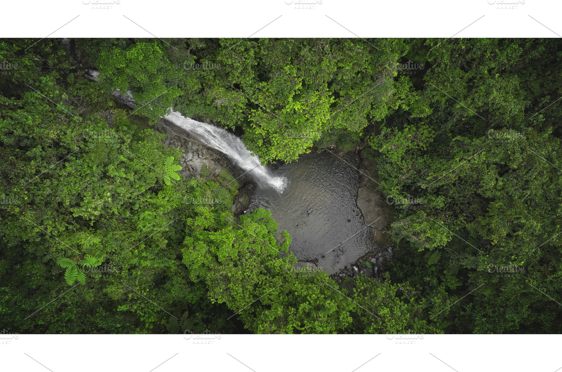 Aerial view of waterfall cascading, an Animal Photo by Goinyk