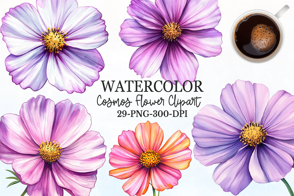 Cosmos Flower Bloom Clipart, an Illustration by Rose Art (Photo 1 of 7)