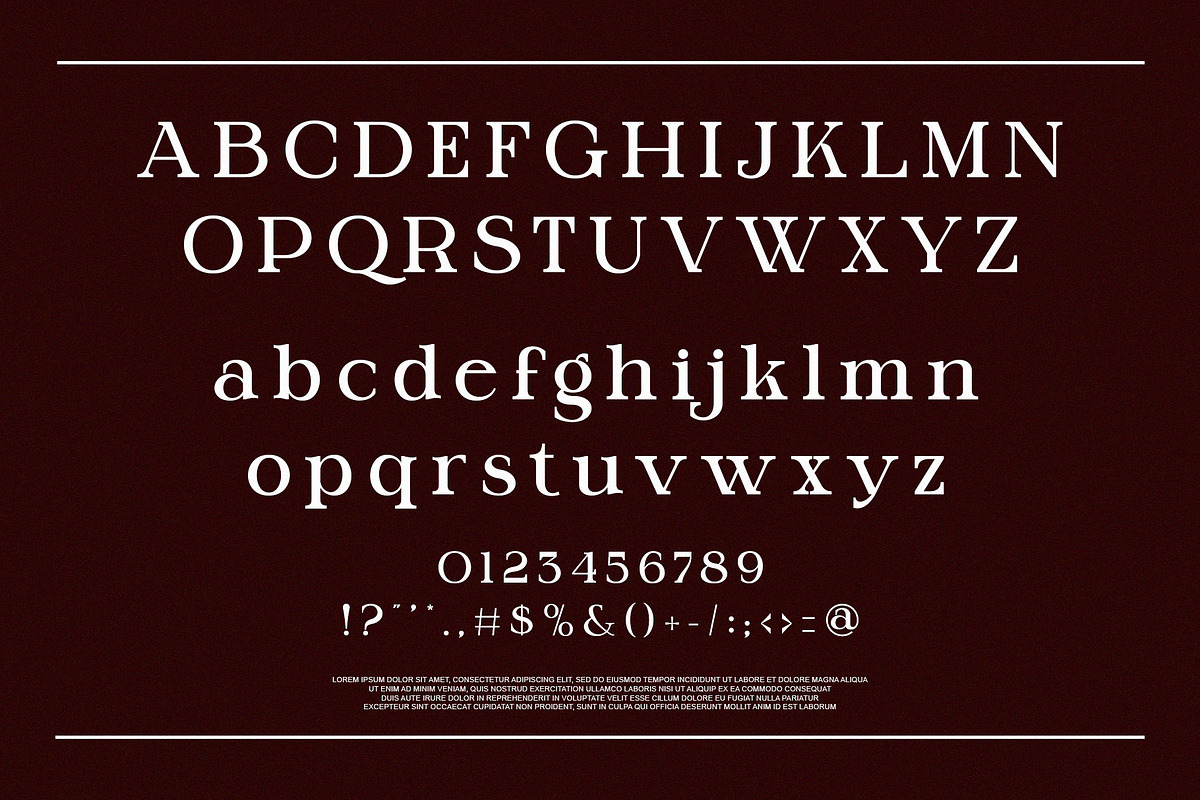 Billker Elegant Ligature Serif, a Serif Font by Alfinart (Photo 7 of 10)