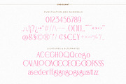 BD Croissant | 7 weights, a Serif Font by Brandear Design (Thumbnail 16 of 16)