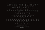 Safing ligature serif typeface, a Serif Font by yaqublekker (Thumbnail 9 of 9)