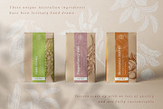 Australian Botanicals 4 in 1 Bundle, a Decorative Illustration by rouxsupplyco (Thumbnail 22 of 25)