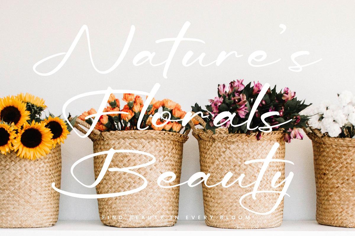 Tialmons, a Script Font by Integritype Studio (Photo 5 of 15)