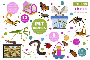 Pet Insects Illustrations Set