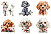 Watercolor Poodle Clipart, a Seasonal Illustration by Designking (Thumbnail 3 of 5)