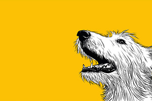Dog howling or barking on a bright, an Animal Photo by MistyDay