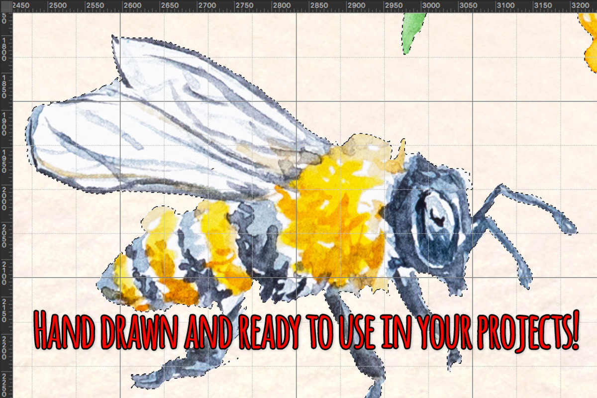 Honey Bee Watercolor Bundle, an Animal Illustration by Violet LeBeaux (Photo 3 of 3)
