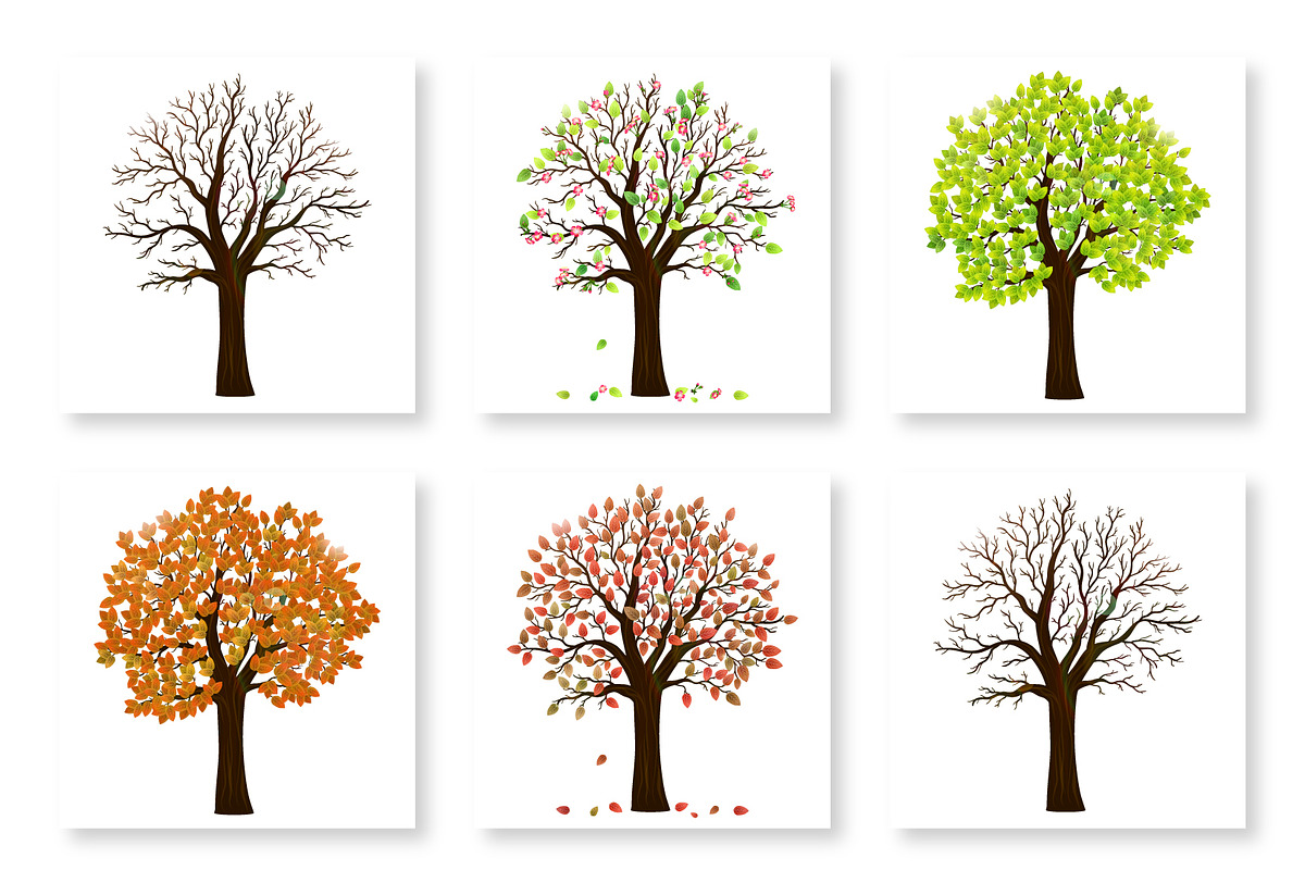 Four seasons trees vector, an Object Graphic by MarBom (Photo 2 of 2)