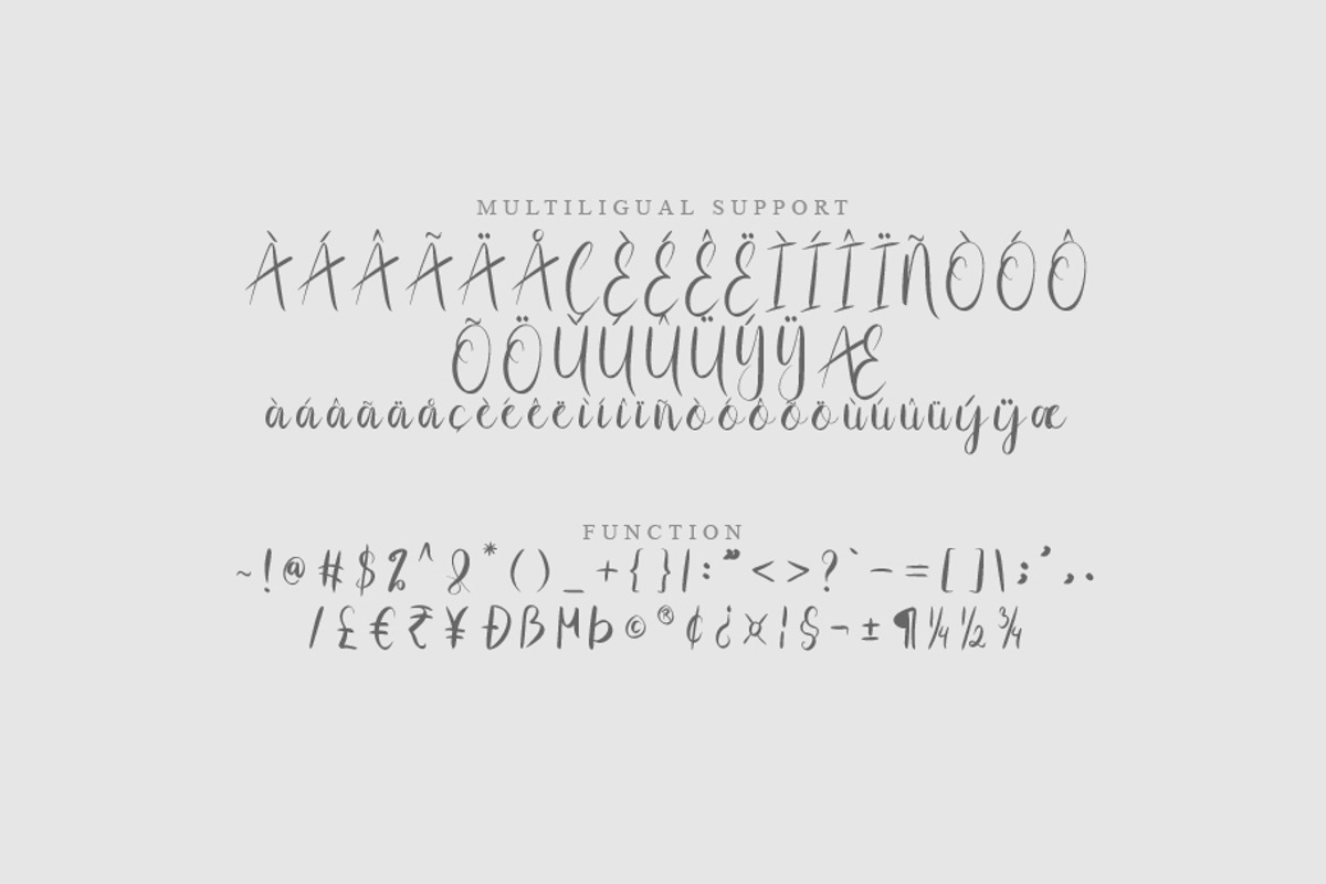 Slotip, a Script Font by khalwa.studio (Photo 3 of 5)