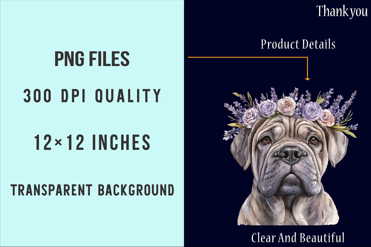 Shar-Pei Dog Watercolor Clipart, an Illustration by SinaCreation (Photo 4 of 5)
