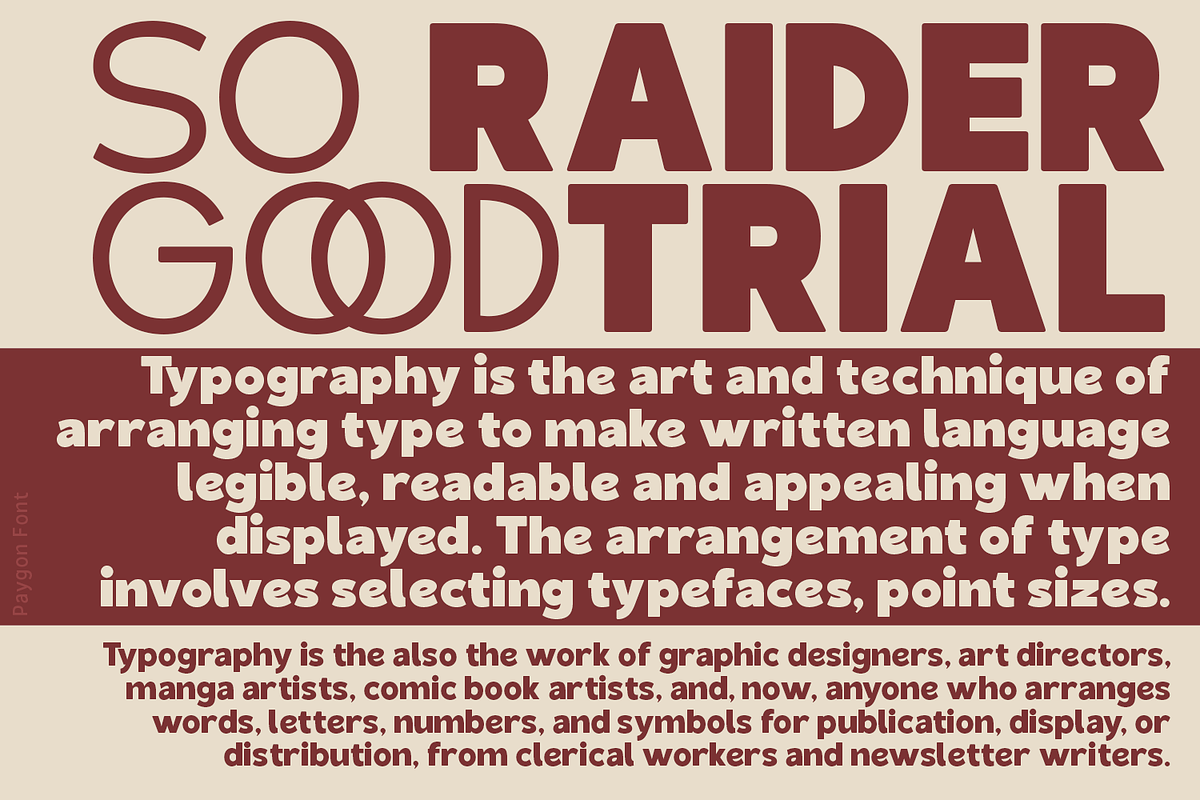 Paygon Sans Family, a Sans Serif Font by TypeClassHeroes (Photo 2 of 15)