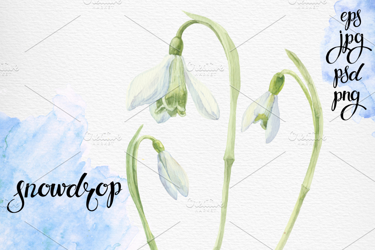 Spring flowers. Watercolor set., an Illustration by maritime_m (Photo 2 of 7)