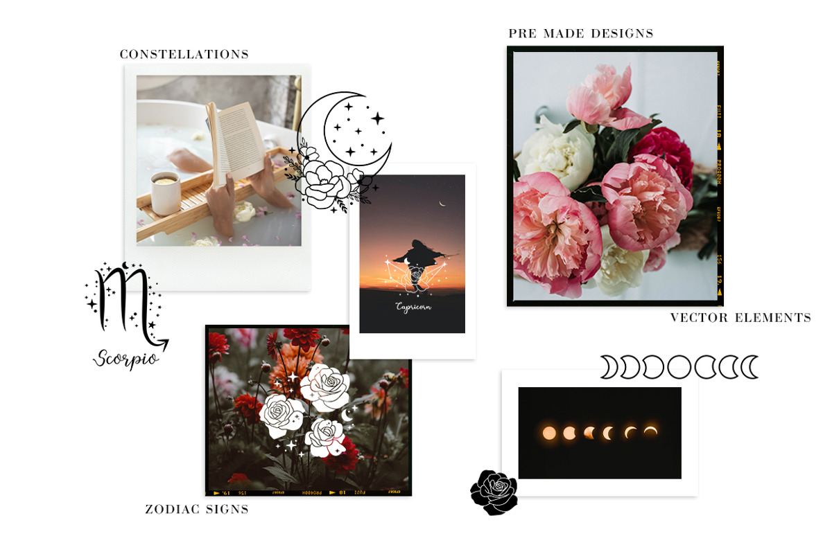 Floral moon & Zodiac Constellations, an Illustration by Art Dari Autumn (Photo 2 of 15)