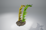 Kelp V2, an Environmental 3D Model by AndrewWhite (Thumbnail 10 of 12)