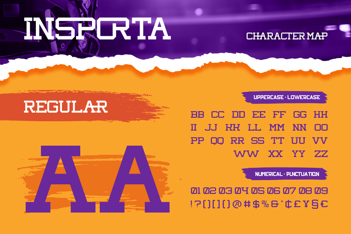 Insporta Signature, a Serif Font by Burntilldead (Photo 2 of 12)